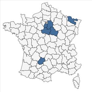 Répartition de Viscaria vulgaris Bernh. subsp. vulgaris en France