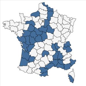 Répartition de Juncus anceps Laharpe en France