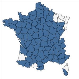 Répartition de Lamium hybridum Vill. en France