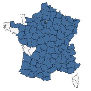 Répartition de Lamium maculatum (L.) L. en France