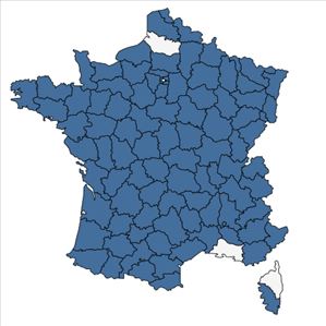 Répartition de Lathyrus linifolius (Reichard) Bässler en France