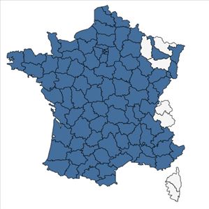 Répartition de Vicia segetalis Thuill. en France