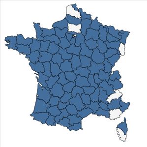 Répartition de Leersia oryzoides (L.) Sw. en France