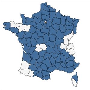 Répartition de Legousia hybrida (L.) Delarbre en France