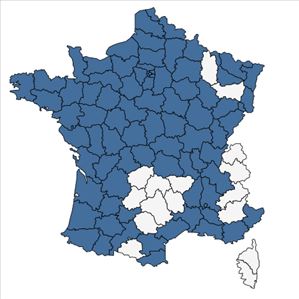 Répartition de Lemna minuta Kunth en France