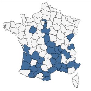 Répartition de Eragrostis virescens J.Presl en France
