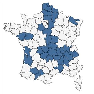 Répartition de Oenothera fallax Renner en France