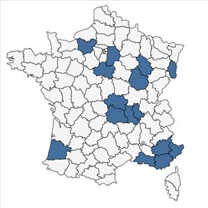 Répartition de Silene dichotoma Ehrh. en France
