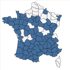 Répartition de Trifolium pratense L. subsp. pratense en France