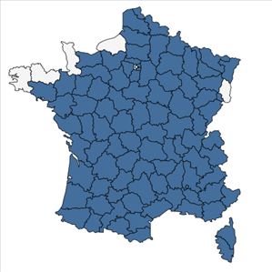 Répartition de Loncomelos pyrenaicus (L.) Hrouda en France