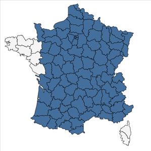 Répartition de Lonicera xylosteum L. en France