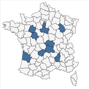 Répartition de Galium parisiense var. leiocarpum Tausch en France