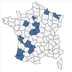 Répartition de Bromus racemosus L. subsp. racemosus en France