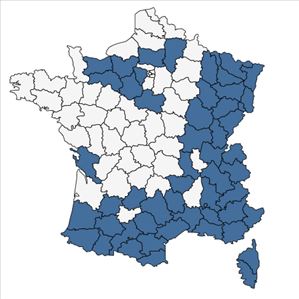 Répartition de Anemone hepatica L. en France