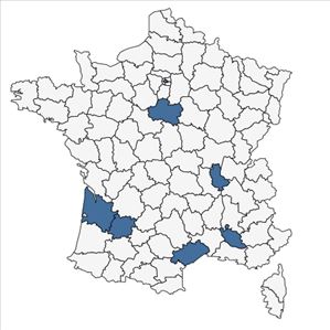 Répartition de Celtis occidentalis L. en France