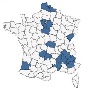 Répartition de Forsythia x intermedia Zabel en France