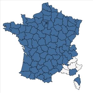 Répartition de Anemone nemorosa L. en France