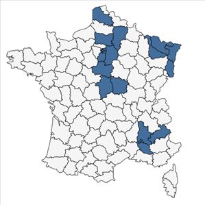 Répartition de Centaurea stoebe L. en France
