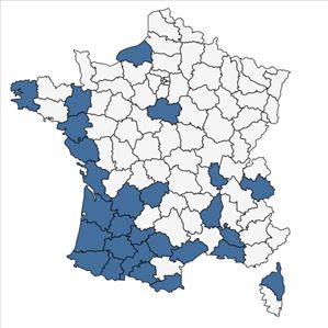 Répartition de Eleusine tristachya (Lam.) Lam. en France