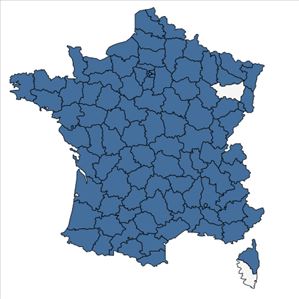 Répartition de Trigonella alba (Medik.) Coulot & Rabaute en France