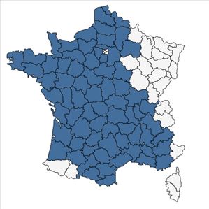 Répartition de Mibora minima (L.) Desv. en France
