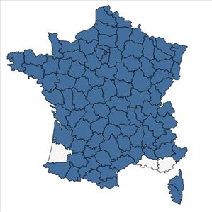 Répartition de Milium effusum L. en France