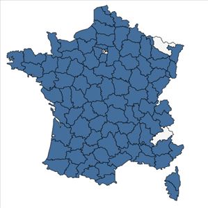 Répartition de Myosotis discolor Pers. en France