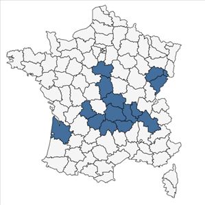 Répartition de Spiraea x billardii Herincq en France