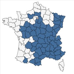 Répartition de Oreoselinum nigrum Delarbre en France