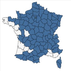 Répartition de Paris quadrifolia L. en France