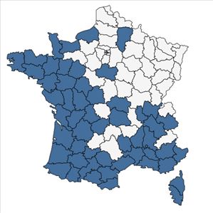 Répartition de Paspalum dilatatum Poir. en France