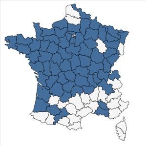 Répartition de Persicaria minor (Huds.) Opiz en France
