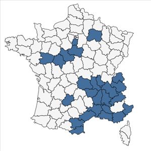 Répartition de Phelipanche arenaria (Borkh.) Pomel en France