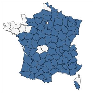 Répartition de Phleum phleoides (L.) H.Karst. en France