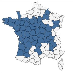 Répartition de Pilularia globulifera L. en France