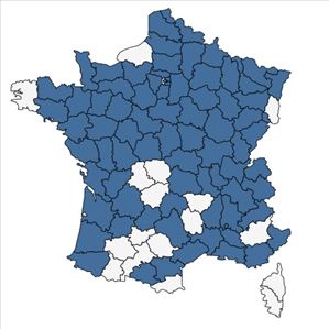 Répartition de Potamogeton lucens L. en France