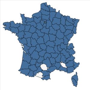 Répartition de Potamogeton natans L. en France