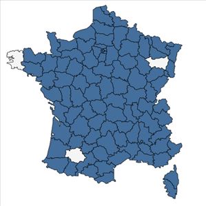 Répartition de Potentilla recta L. en France