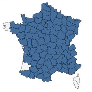 Répartition de Potentilla verna L. en France