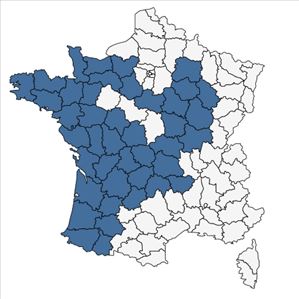 Répartition de Pyrus cordata Desv. en France