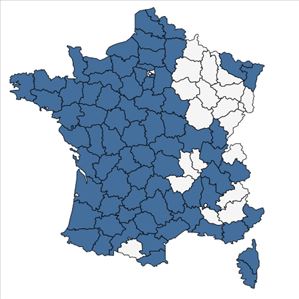 Répartition de Radiola linoides Roth en France
