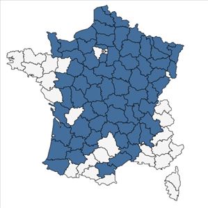 Répartition de Ranunculus fluitans Lam. en France