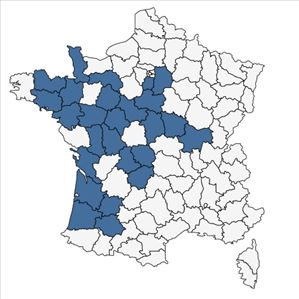 Répartition de Ranunculus ololeucos J.Lloyd en France
