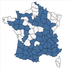 Répartition de Reseda phyteuma L. en France