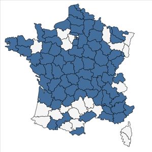 Répartition de Rhus typhina L. en France